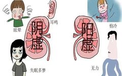 Eliminating 'Yin Toxins' to Restore Yang Qi: Are You Cleansing the Eight Major 'Yin Toxins' in Your Body?