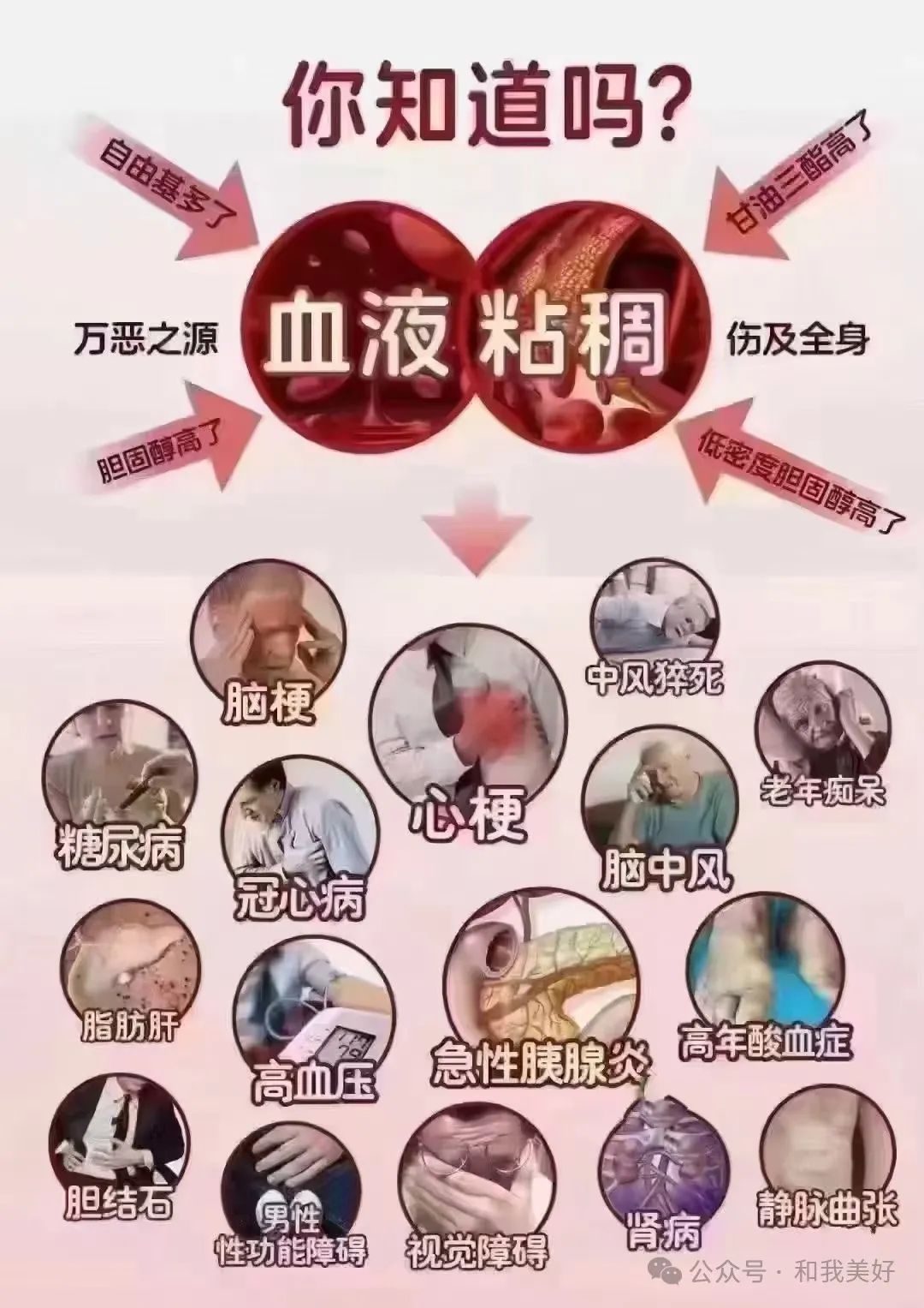 The Concept of Yin-Yang Balance in Traditional Chinese Medicine