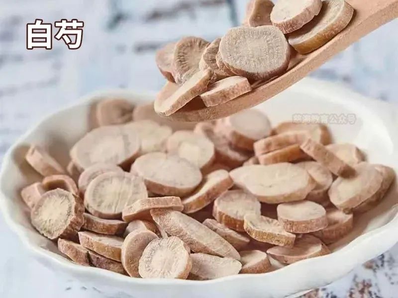 Daily Learning of a Chinese Herb