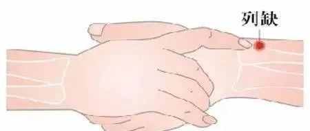 The Fifteen Collaterals in Traditional Chinese Medicine