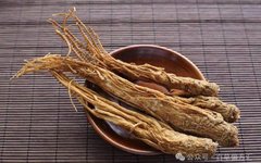 The Efficacy and Functions of Angelica Sinensis (Dang Gui)