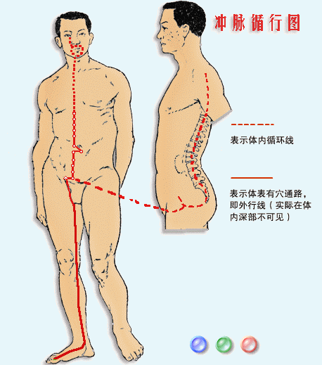 Four Vital Meridians for Women: Ren Mai, Du Mai, Chong Mai, and Dai Mai Must Be Unblocked!