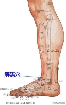 Understanding Different Types of Dampness in Traditional Chinese Medicine: Cold Damp, Damp Heat, Phlegm Damp, and More
