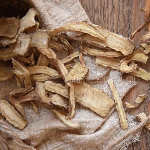 The Four Major Benefits of Angelica Sinensis and Five Dietary Recipes for Health and Flavor!
