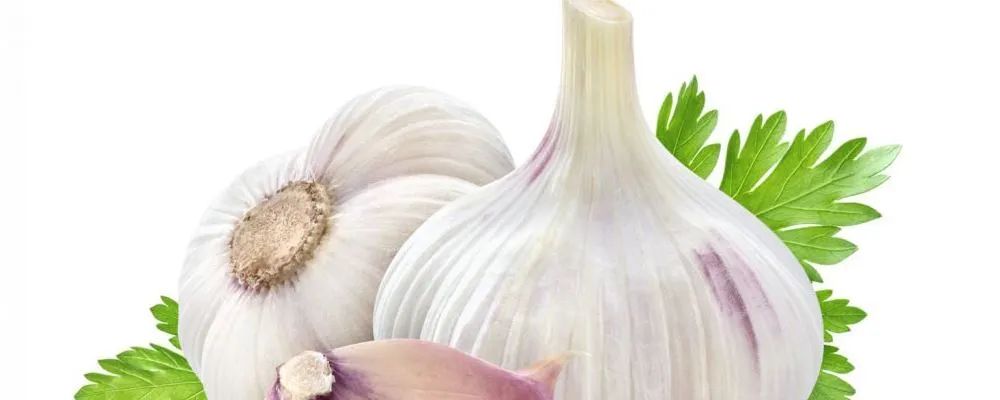 Dietary Considerations for Women with Anemia: Effective Blood Nourishing Strategies