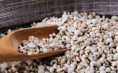 The Efficacy and Functions of Coix Seed (Yi Yi Ren)