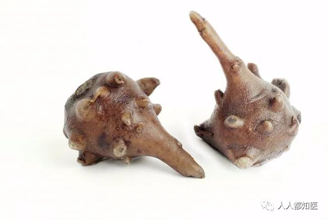 The Therapeutic Properties and Preparation of Fuzi (Aconite) in Traditional Chinese Medicine