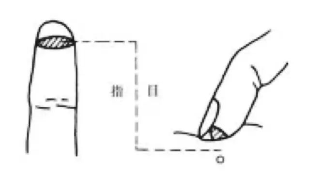 Methods of Pulse Diagnosis: Lifting, Pressing, and Seeking - What to Diagnose During Pulse Examination?