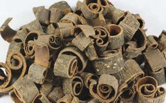 The Efficacy and Applications of Hou Po (Magnolia Bark) in Traditional Chinese Medicine
