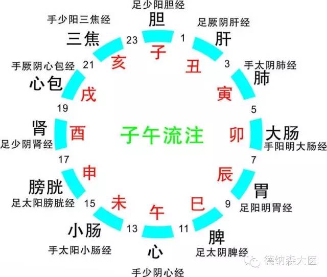 The Flow of the Twelve Meridians: A Guide to Health Maintenance Over 24 Hours
