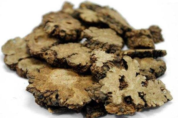 The Efficacy and Usage of Chuanxiong (Ligusticum chuanxiong)