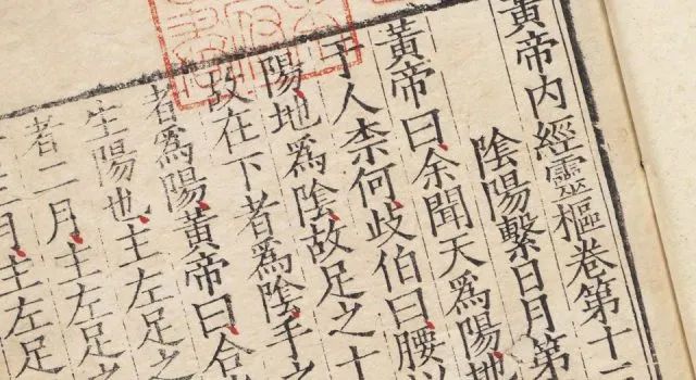 The Huangdi Neijing: More Than Just a Medical Text