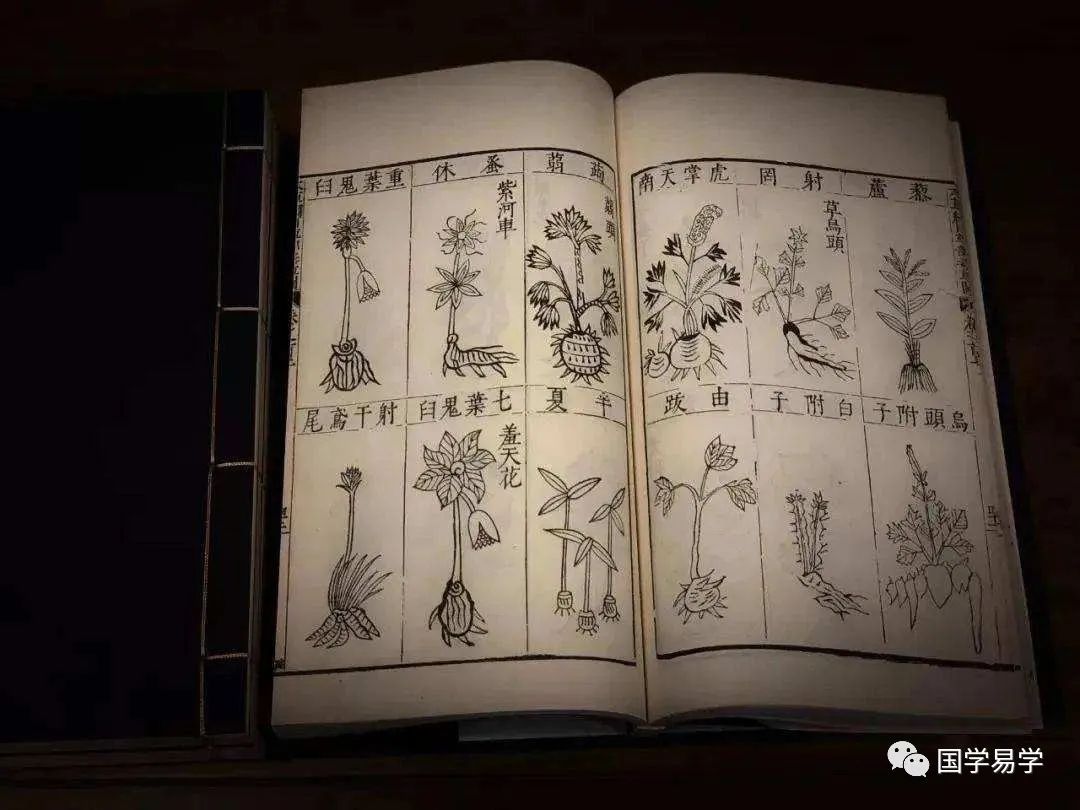 Exploring the Secrets of the Compendium of Materia Medica