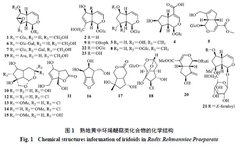 Research Progress on the Pharmacological Basis of Rehmannia Glutinosa