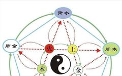 Ni Haixia: A Detailed Explanation of the Functions of the Five Zang and Six Fu Organs That Everyone Should Understand