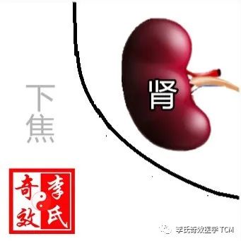 Tongue Diagnosis and the Five Organs Series Collection