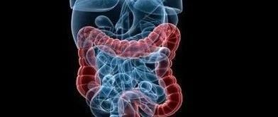Clinical Observation of the Efficacy of Chuan Huang Oral Liquid Combined with Lactulose in Treating Deficiency of Body Fluids and Blood in 40 Cases of Constipation Type Irritable Bowel Syndrome