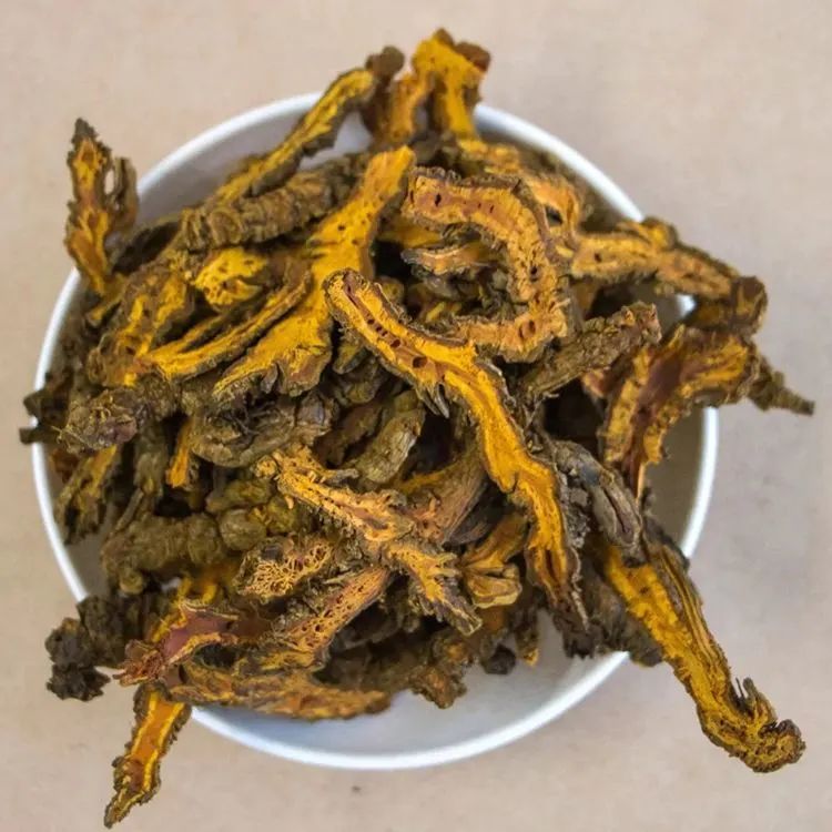 Weekly Study of Traditional Chinese Medicine: Huang Lian (Coptis)