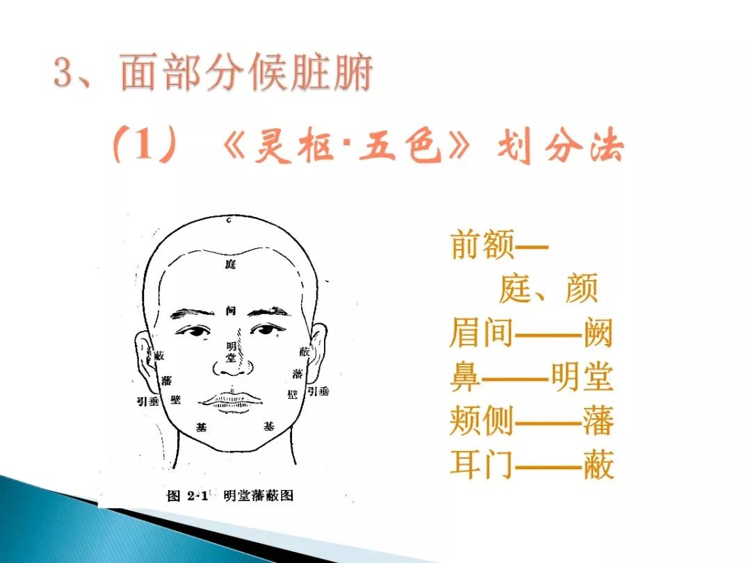 Comprehensive Guide to Observation Diagnosis in TCM: Understanding Shen, Head and Face, Lips, and Tongue Coating