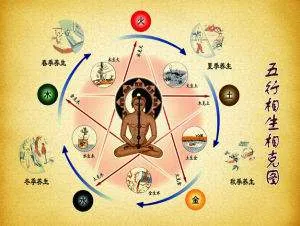 The Power of the Five Elements in Traditional Chinese Medicine