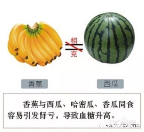 A Comprehensive Guide to Complementary and Contradictory Foods in TCM