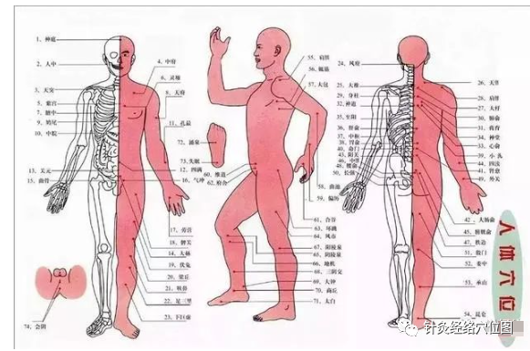 103 Acupuncture Points for Healing and Massage: A Valuable Collection