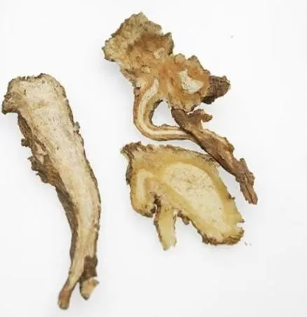 Angelica Sinensis: A Weekly Herb