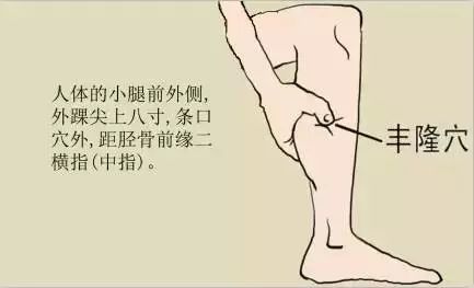 Phlegm-Damp Constitution and Obesity: Press This Point to Eliminate Dampness and Lose Weight!