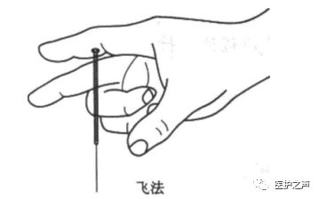Acupuncture Techniques - Discussion on Needle Insertion Techniques (Part 2)