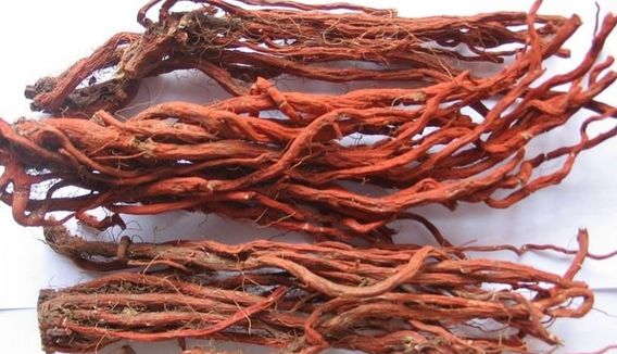 Dan Shen and Hawthorn: The Golden Combination for Preventing and Treating Cardiovascular Diseases