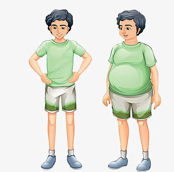 Why Do 'Thin People Have More Deficiency Heat, While Fat People Have More Phlegm-Dampness'?