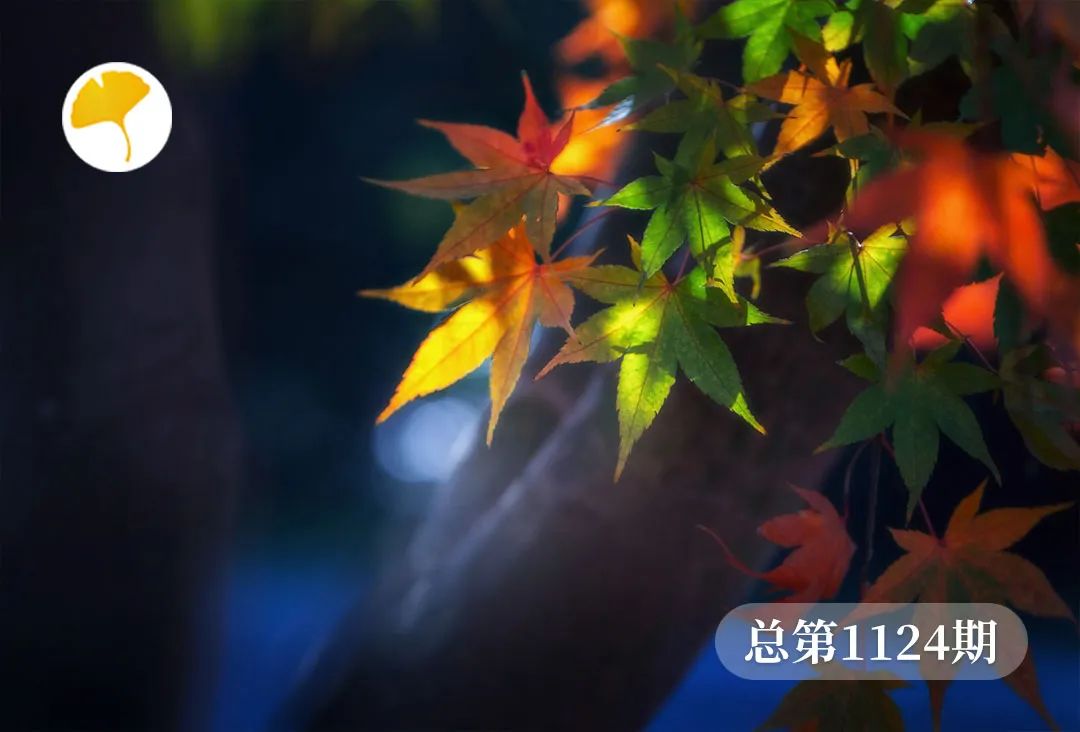Autumn Equinox: A Key Period for Yin-Yang Balance! Nourish Both Yin and Yang with a Beautiful Soup