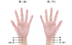 Fundamental Knowledge of Pulse Diagnosis - Hua (Yang within Yin)