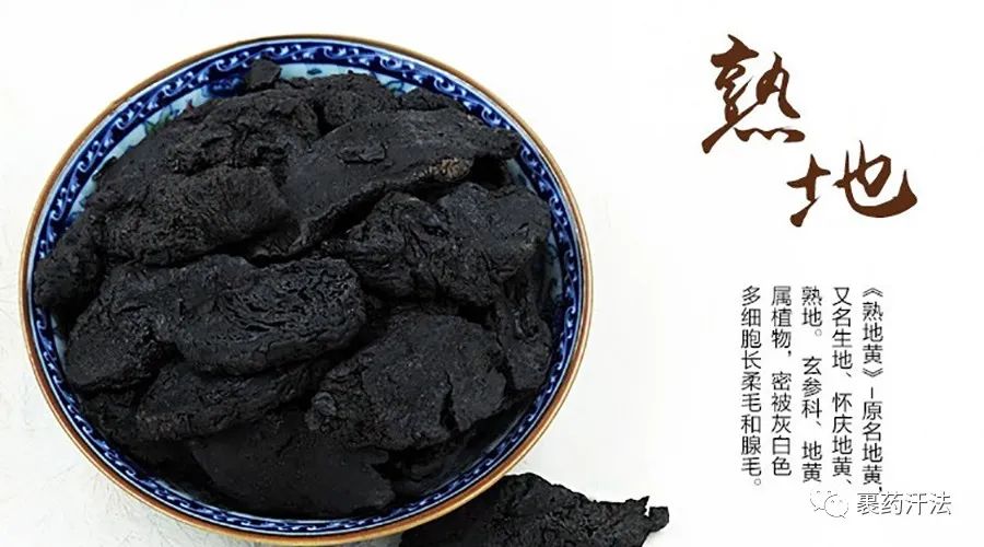 Understanding a Chinese Medicinal Herb: Rehmannia Glutinosa