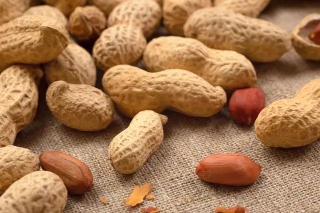 Addressing Anemia: 8 Foods to Nourish Blood and Enhance Vitality