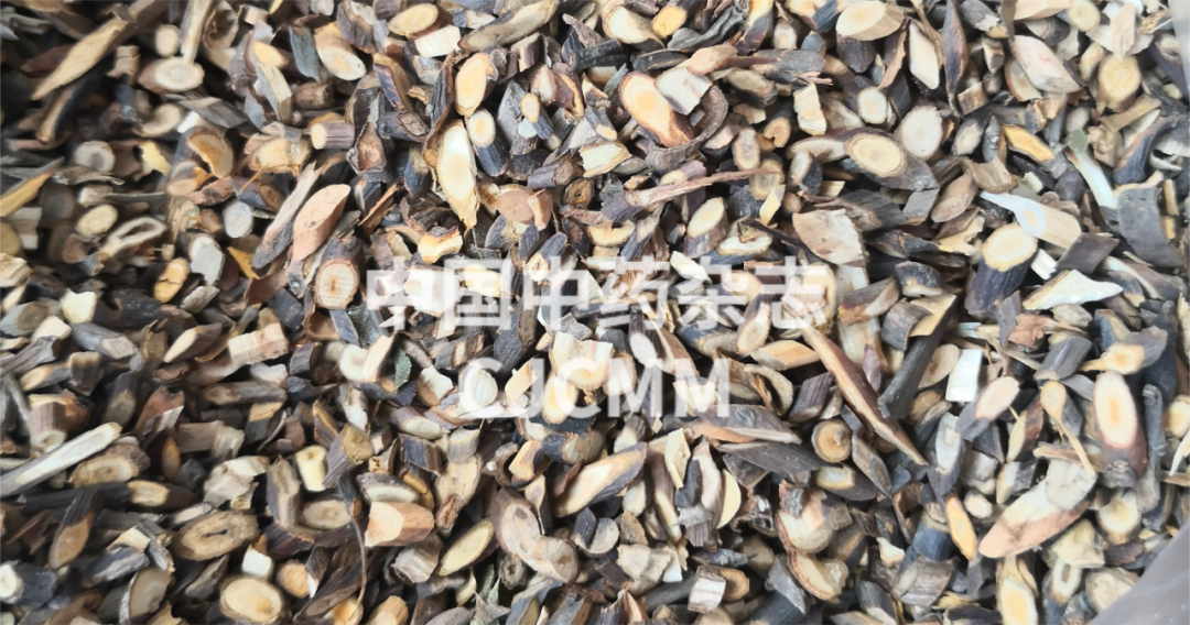 Traditional Chinese Medicine: Balancing Yin and Yang for Health