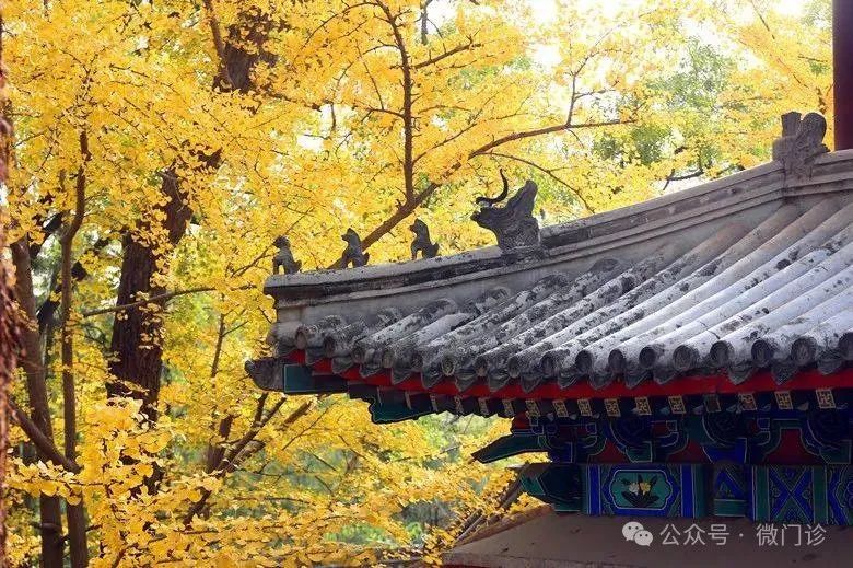 Traditional Chinese Medicine's Effective Formula for Treating Spleen and Stomach Yang Deficiency!