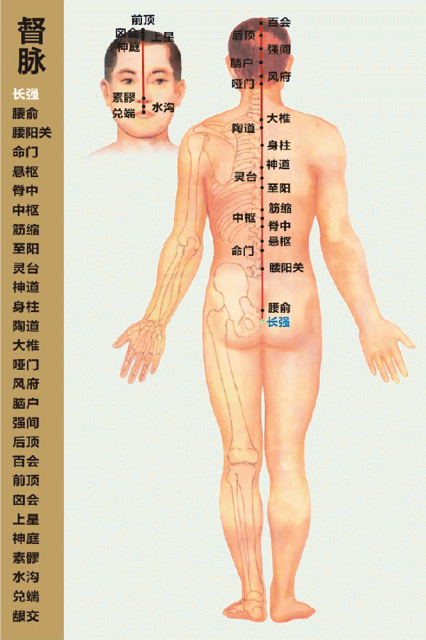 Understanding the Essentials of the Huangdi Neijing in 10 Minutes (Save for Study)