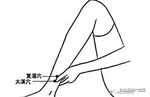Common Deficiency Syndromes of the Five Organs (Yin, Yang, Qi, Blood) and Their Treatment Methods