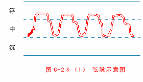 The Twenty-Eight Pulses and All Pulse Patterns in Traditional Chinese Medicine (Animated Illustrations)