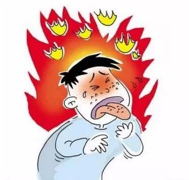 What Does 'Yin Deficiency with Excess Heat' Mean in Traditional Chinese Medicine?
