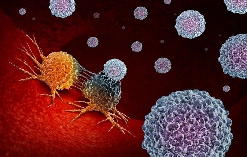 Understanding the New Anti-Cancer Drug 'Supporting the Right and Eliminating the Evil'