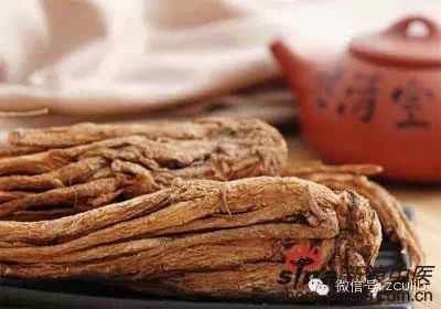 The 16 Medicinal Herbs Mentioned in Jay Chou's "Compendium of Materia Medica"