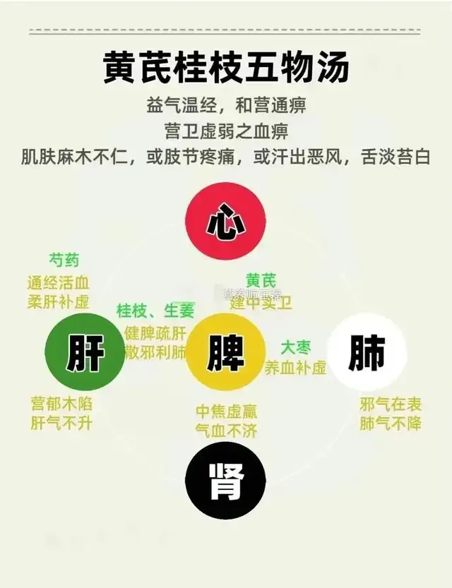Eight Principles of Classical Formulas in the Treatise on Cold Damage: Unveiling the Essence of Zhang Zhongjing's Medicine!