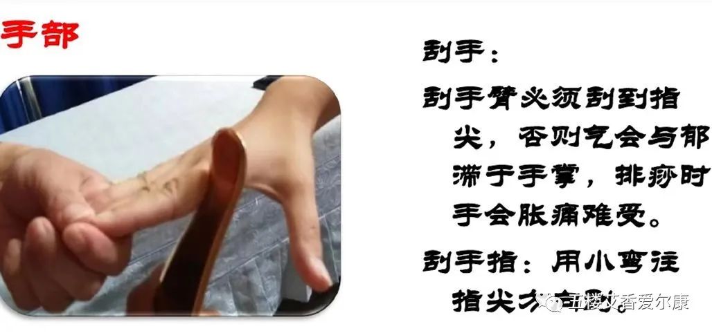 Summary of Common Diseases and Gua Sha Treatment Plans Including Human Reflex Maps, Contraindications, and Diagnosis of Sha Patterns