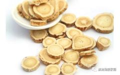 Common Medicinal Herb: Astragalus (Huang Qi)