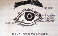 Traditional Chinese Medicine Diagnosis: Summary of Observation Techniques (3)