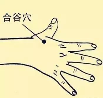 Common Acupuncture Points and Their Effects! (Illustrated Version)
