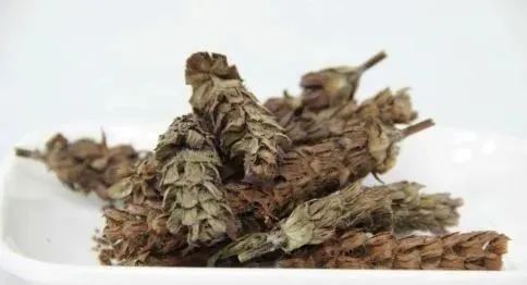 12 Herbs for Clearing Heat and Detoxification: Recommended for All Ages!