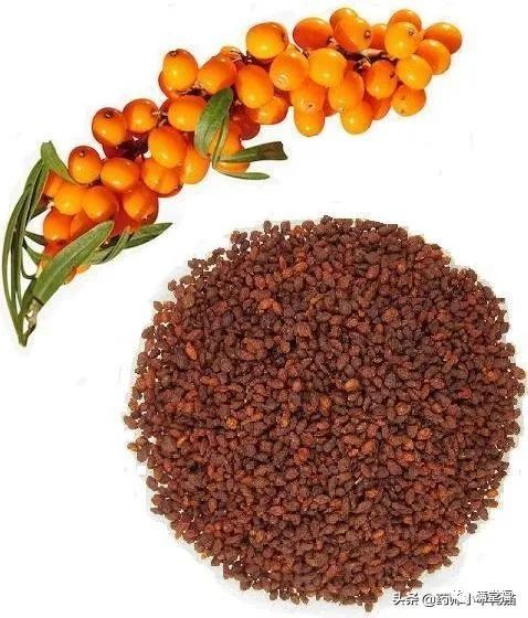 Transformation of Kidney Yin Deficiency and Kidney Yang Deficiency into Both Kidney Yin and Yang Deficiency: Symptoms and 15 Commonly Used TCM Formulas